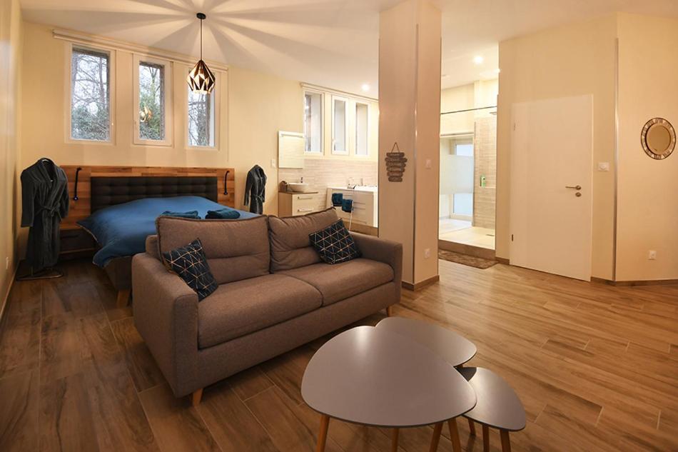 Appartement Loft Detente ستراسبورغ المظهر الخارجي الصورة