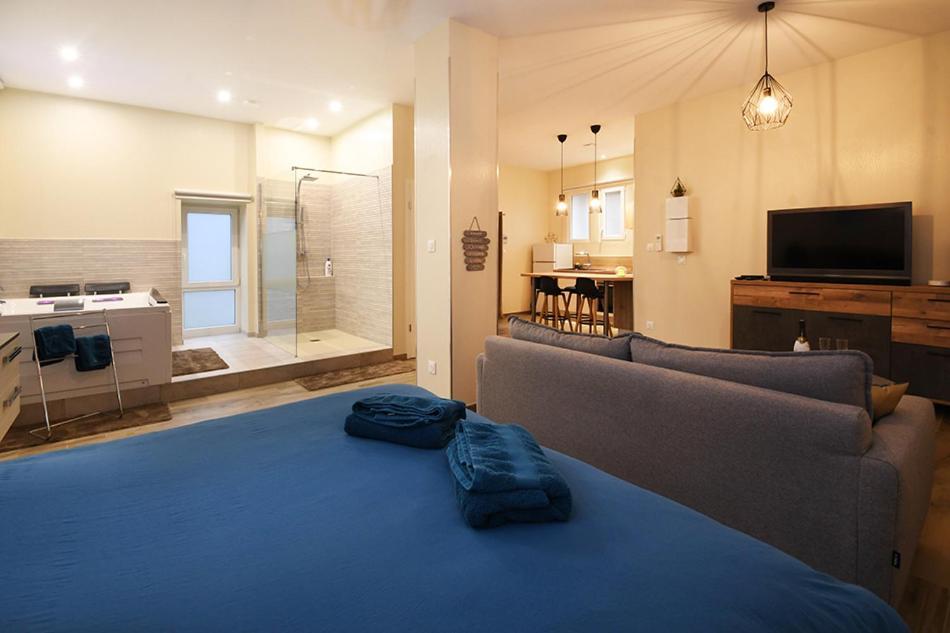 Appartement Loft Detente ستراسبورغ المظهر الخارجي الصورة